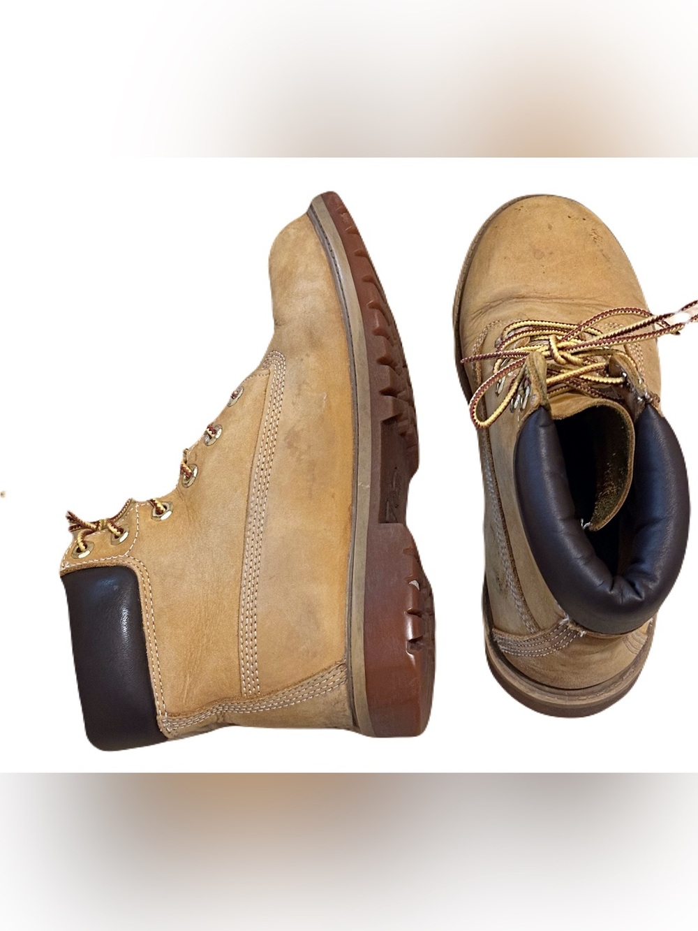Timberland Wheat Tan Kids Hiking Boots with Dark Brown Collar